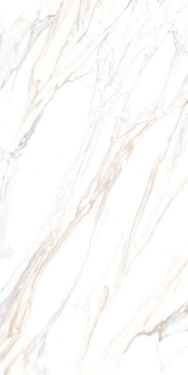 Aurum Calacatta Polished 24 x 48